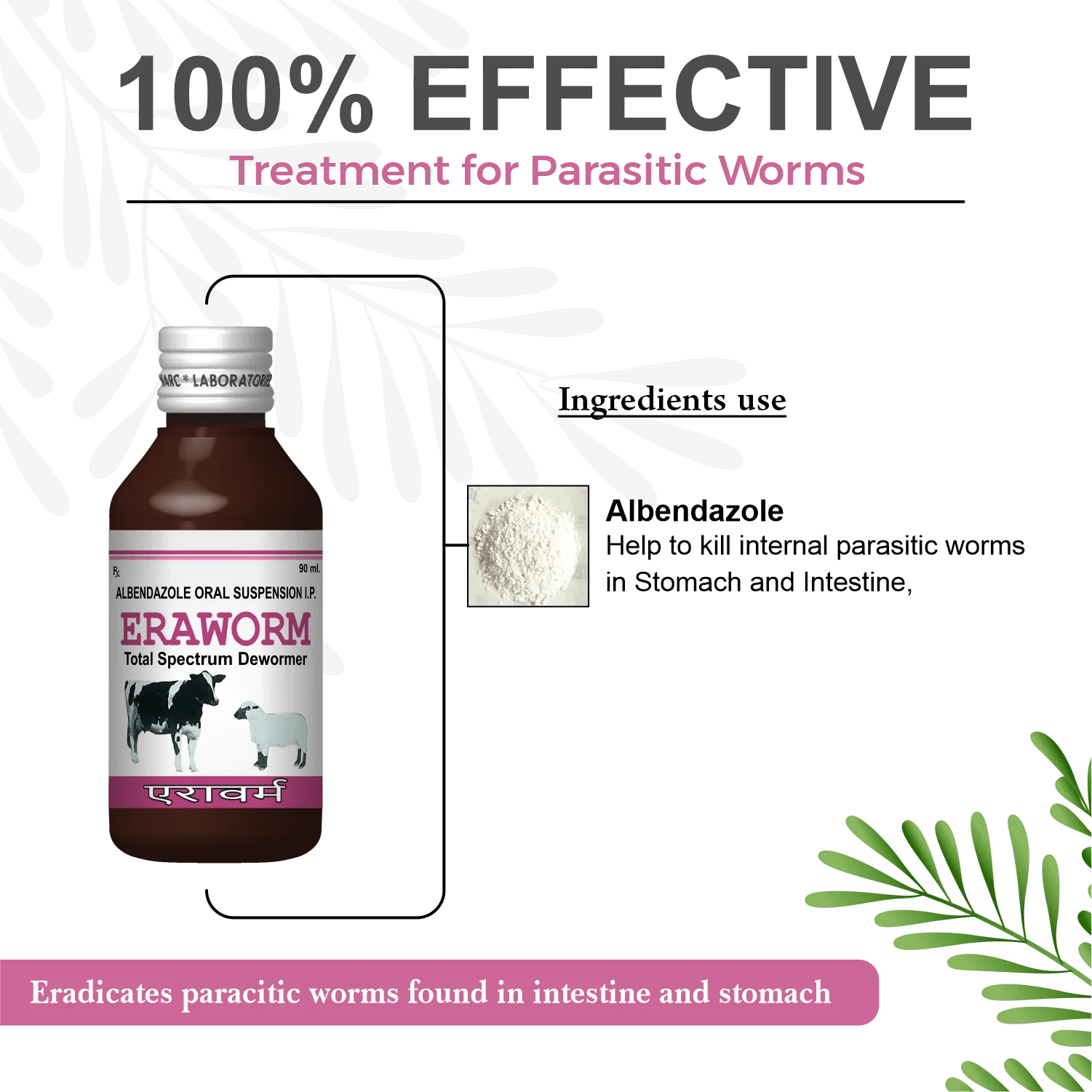 Buy online Eraworm Susp-Marccure
