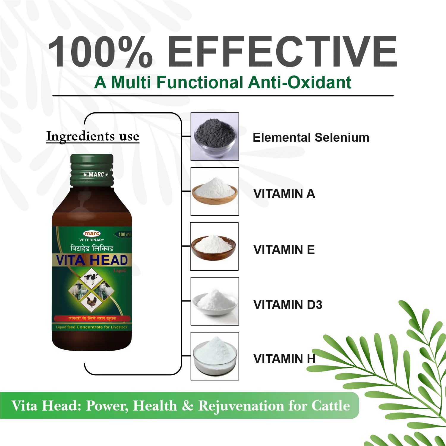 Buy Calvit 12 Syrup for animal Improves calcium needsy (milk fever ...