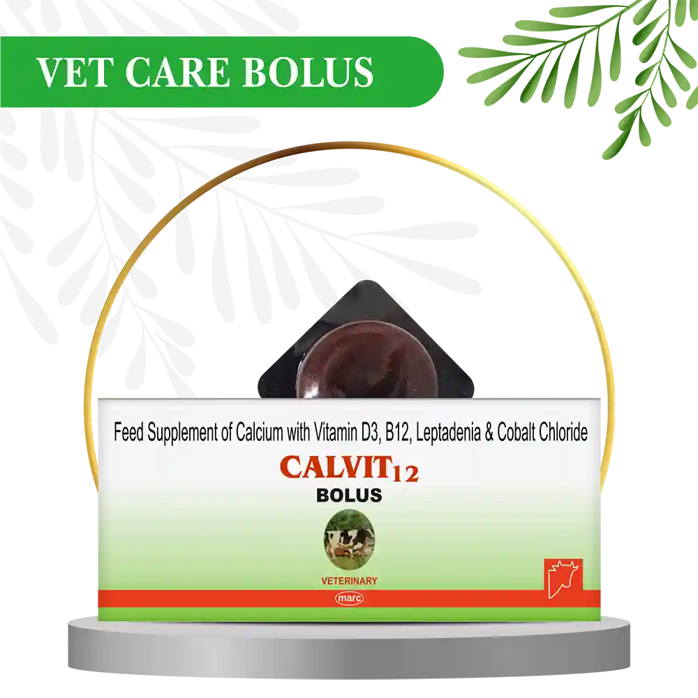 Buy Calvit-12 bolus is a calcium & vitamin b12 supplement for animals at  best price in India | Marccure