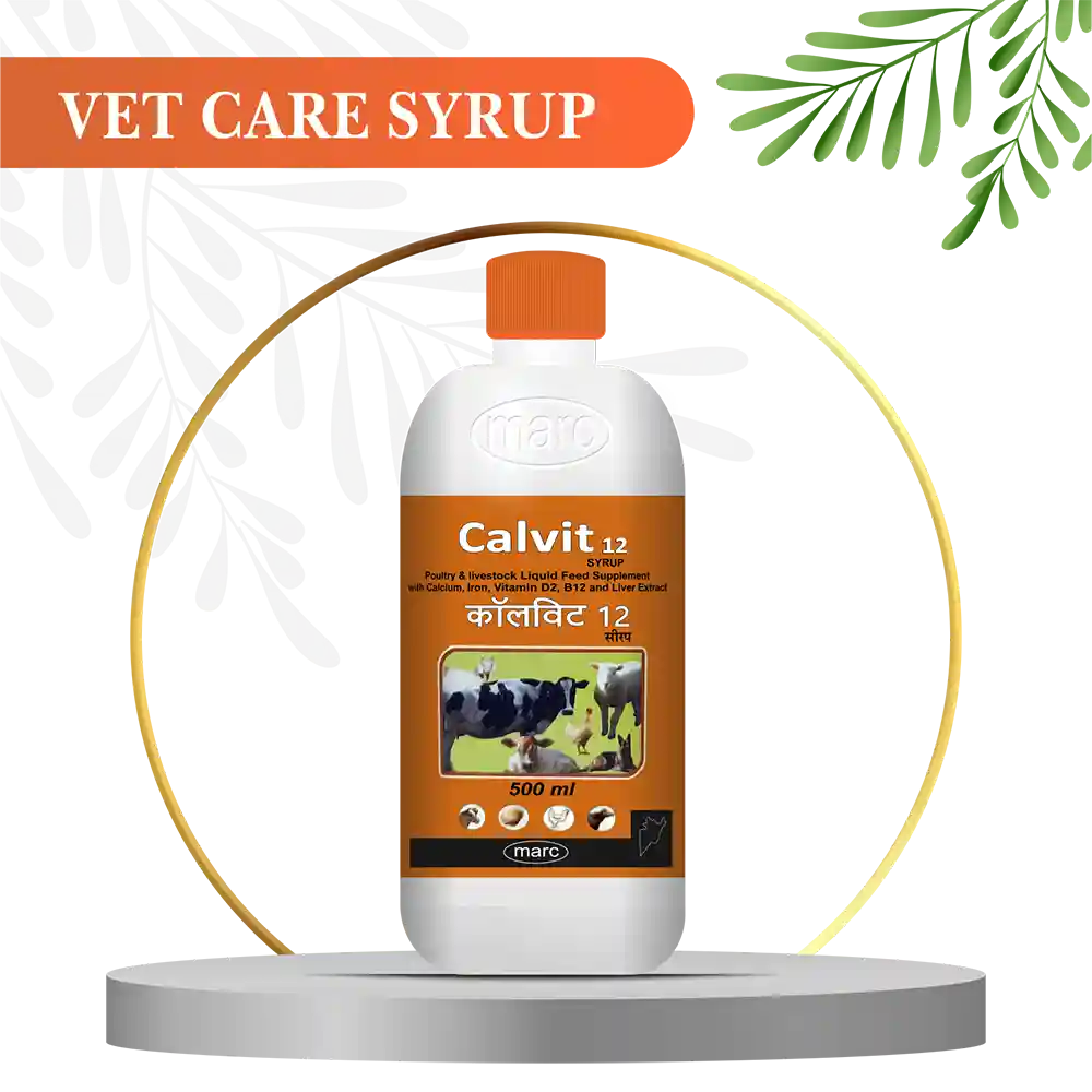 Buy Calvit 12 Syrup for animal Improves calcium needsy (milk fever ...