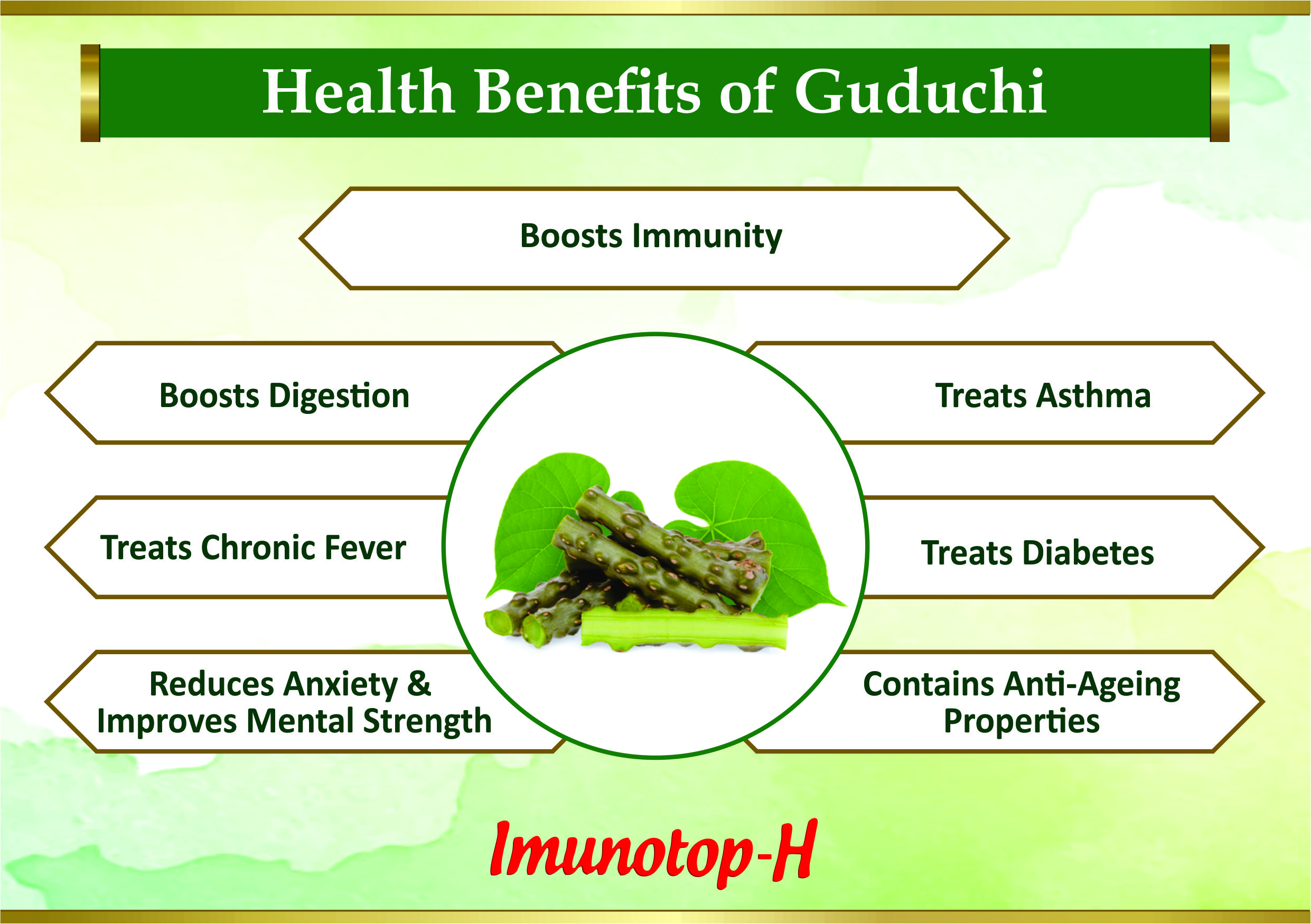 Health benefits of Guduchi